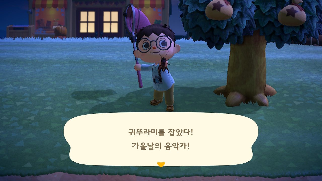 동물의 숲 9월 업데이트 이벤트 (곤충, 물고기 등 도감정보) 동물의 숲 9월 업데이트 이벤트 (곤충, 물고기 등 도감정보)