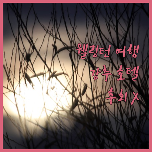 웰링턴 여행, InterContine