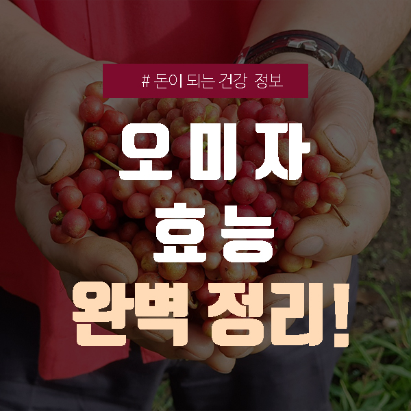  오미자 효능, 연구를 통해 새롭게 밝혀진 효능 추가!