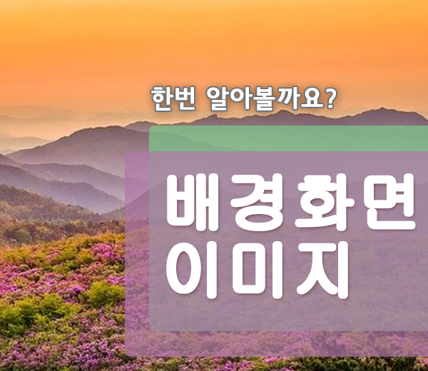  배경화면 하기 좋은 사진 모음 넘 많네요!!