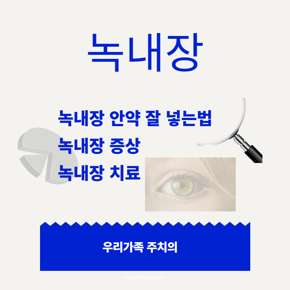 녹내장