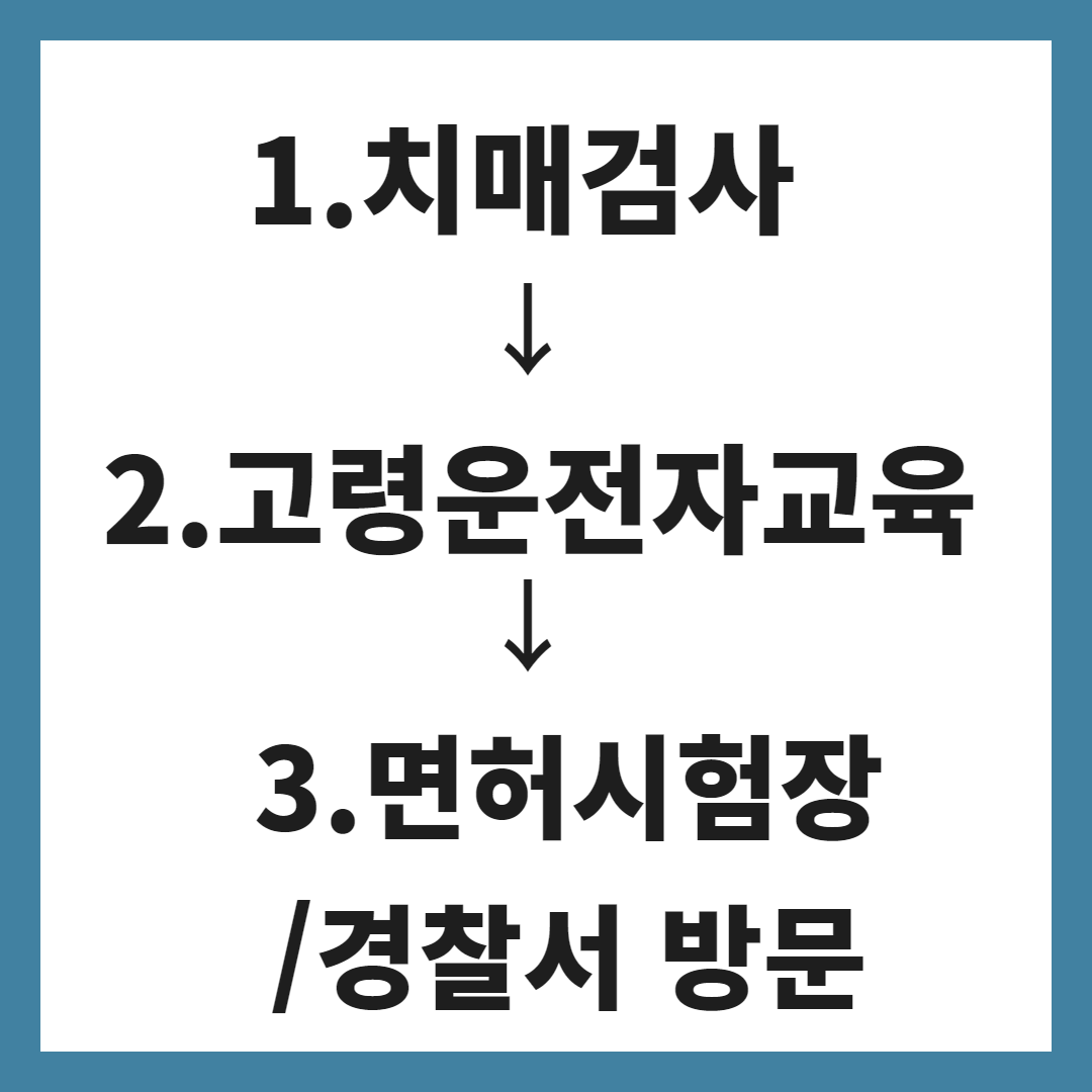 고령 운전자 적성검사/면허갱신방법