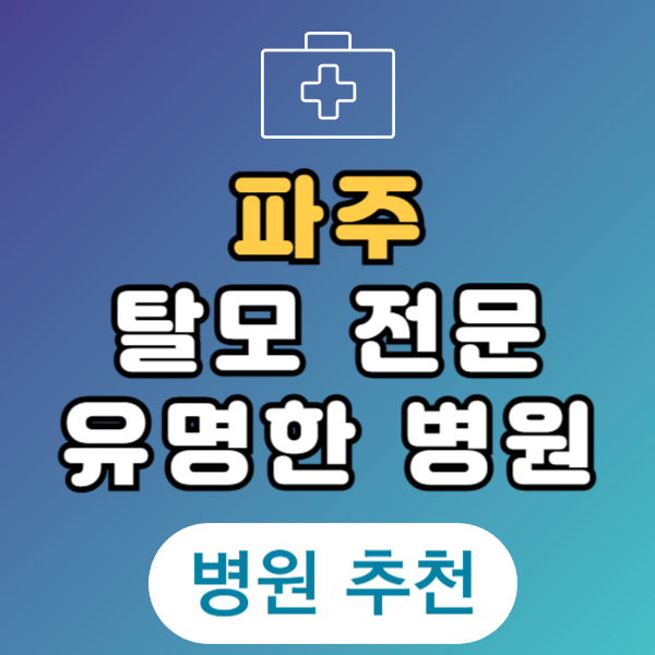 파주 탈모 전문 병원 두피 탈모관리 잘하는 곳 추천 List