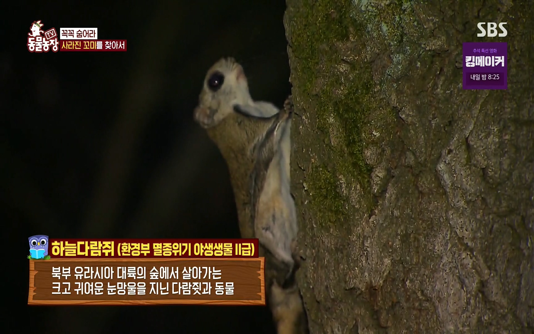 TV 동물농장.E1086.220911p.H264-F1RST.mp4_20220911_172042.873.jpg