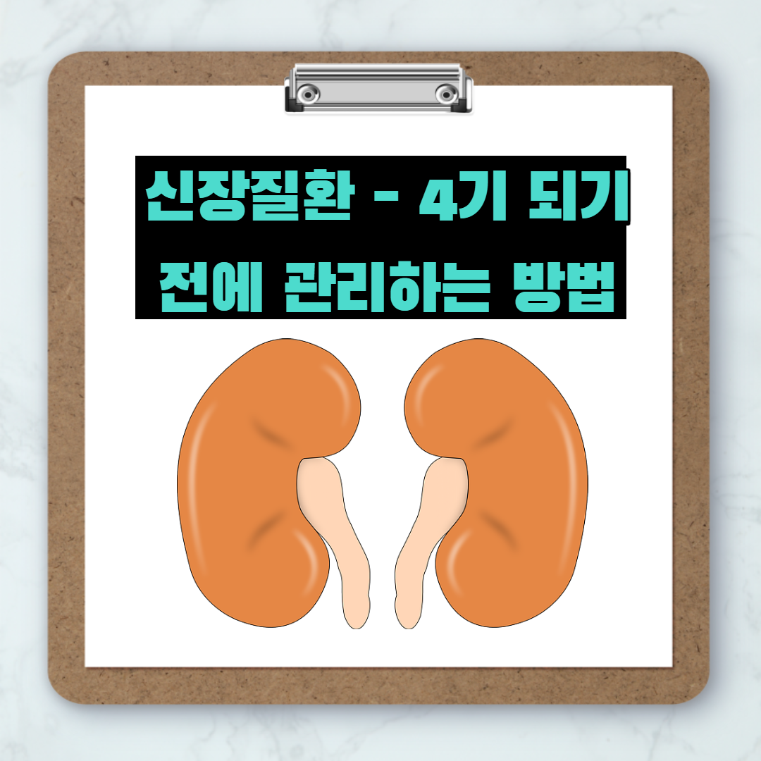  초기 증상 파악이 어려운 신장질환! 원인 및 관리방법은?