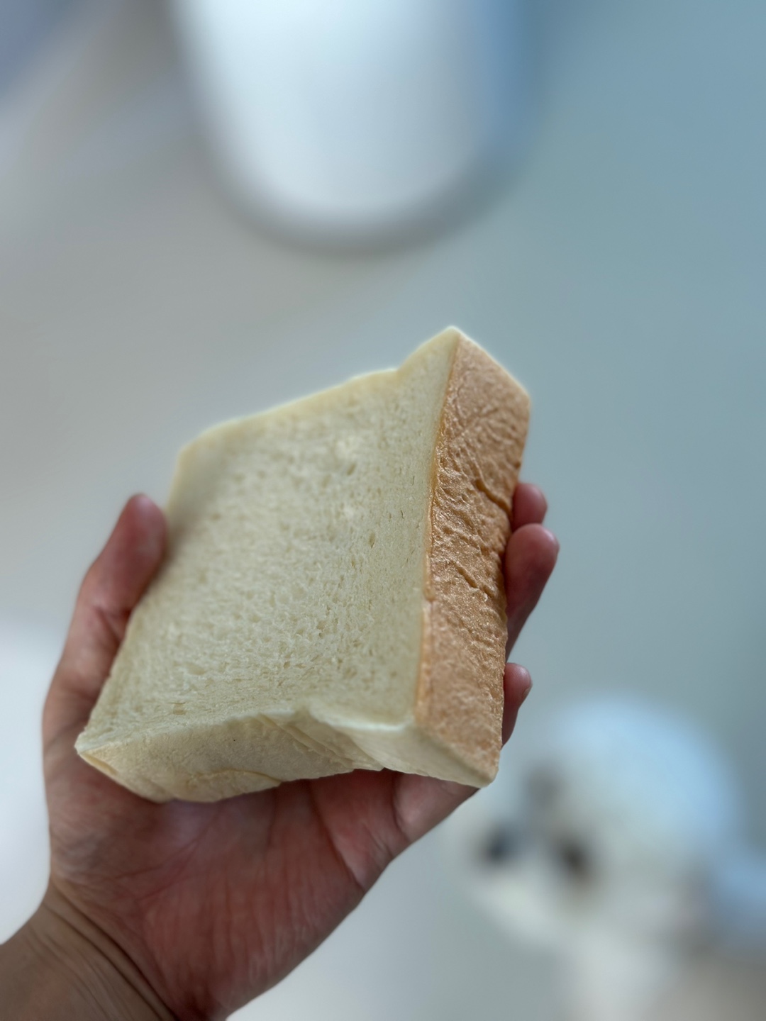 생식빵