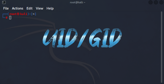  Kali Linux 권한 UID/GID [ 1 ]