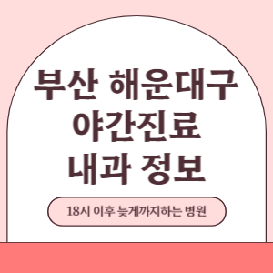 부산 해운대구 야간진료 내과 병원 (18시 이후 늦게까지하는 병원)