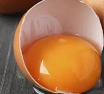 달걀노른자-사진