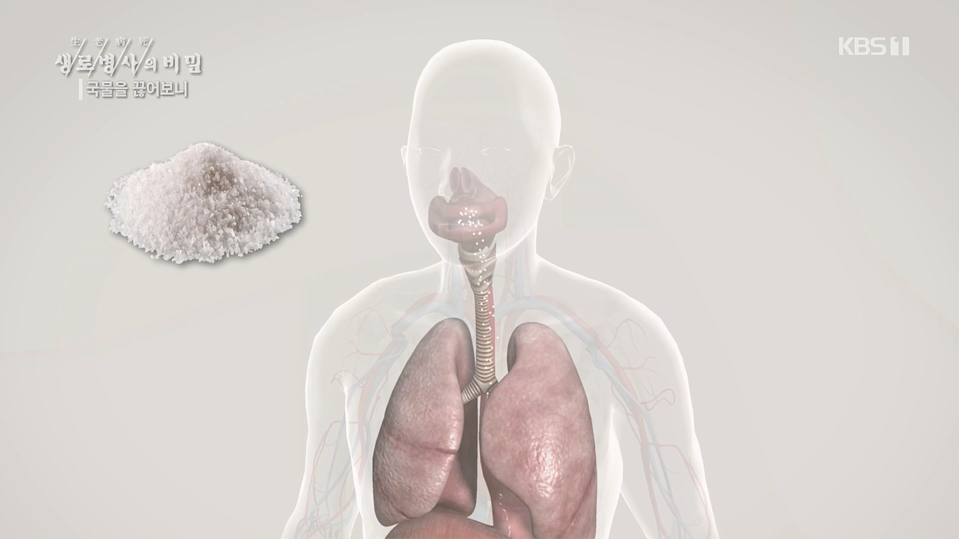 생로병사의 비밀.E854.230201p.H264-F1RST.mp4_20230212_140104.474.jpg