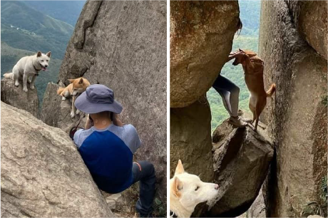  강아지를 학대하는 중국의 무개념 커플