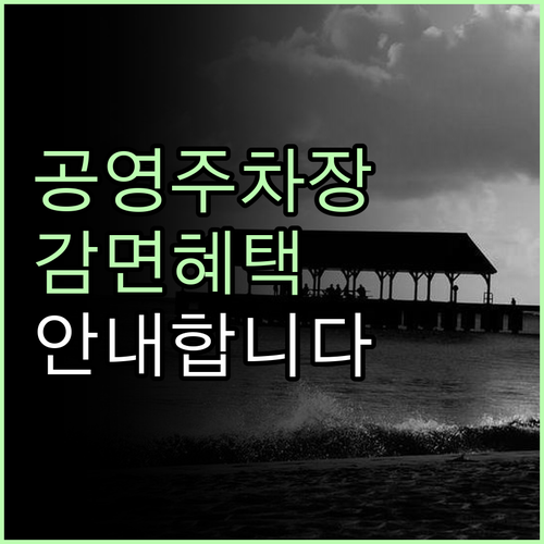 공영주차장 이용요금 감면 혜택을 놓치