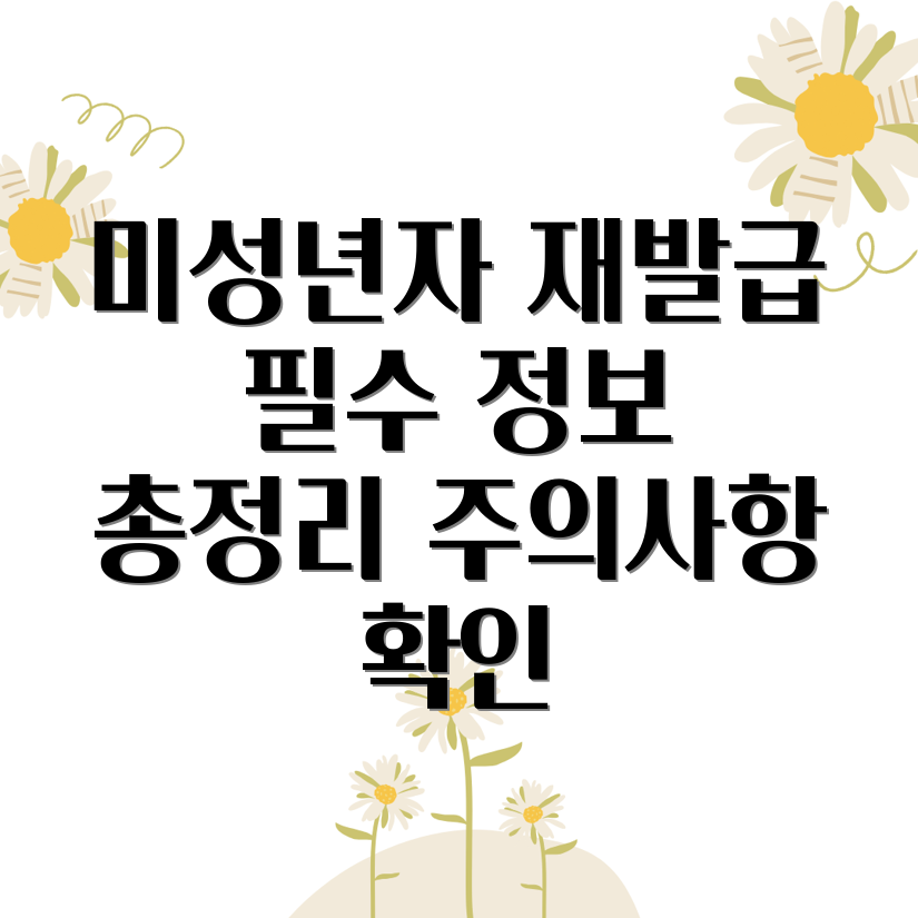 미성년자 주민등록증 재발급