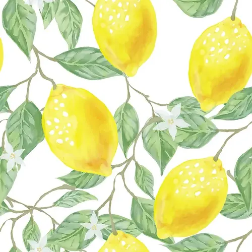 레몬의 싱싱한 모습