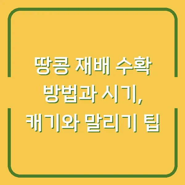 땅콩 재배 수확 방법과 시기, 캐기와 말리기 팁