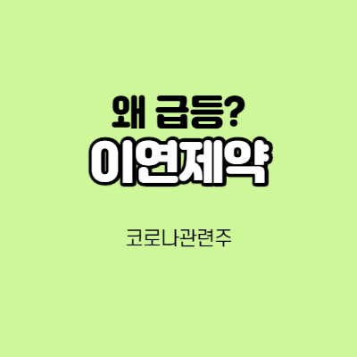  이연제약 - 어떤 기업인가요? 급등이유/기업분석