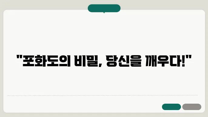 포화도