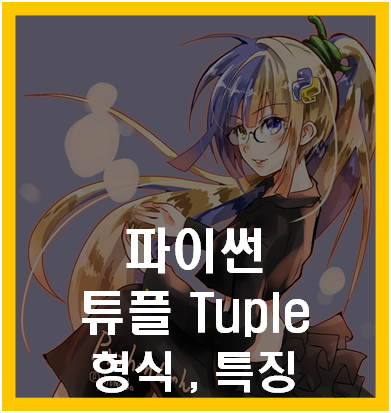 파이썬 튜플 형식 특징