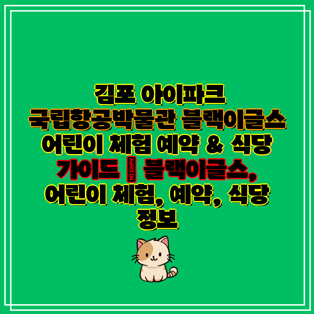  김포 아이파크 국립항공박물관 블랙이글스 어린이 체험 