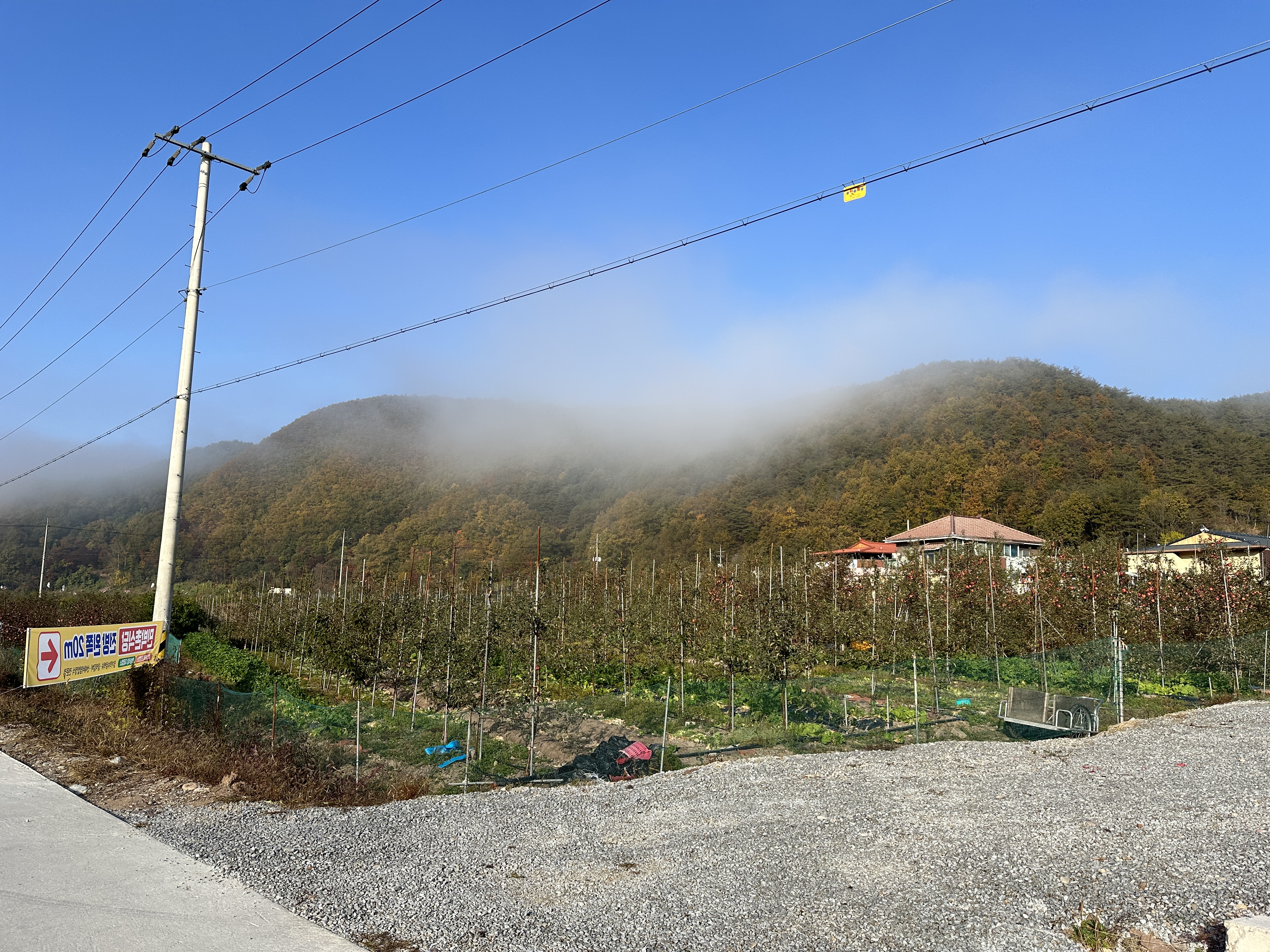 주왕산 가을산행 등산코스