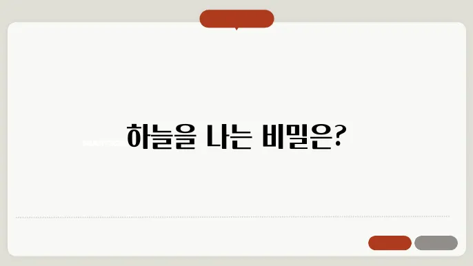 뻯행기가 뜨는 원리 – 양력과 공기역학의 과학