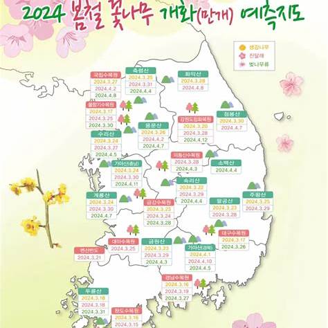 개화 시기 포스터