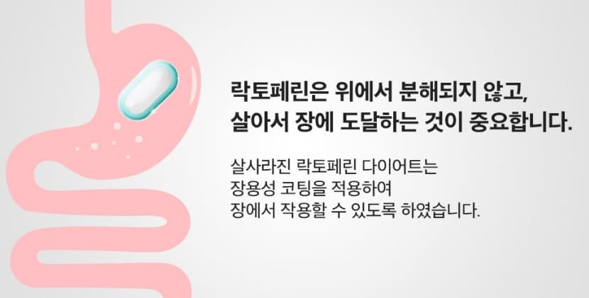 장용성 락토페린