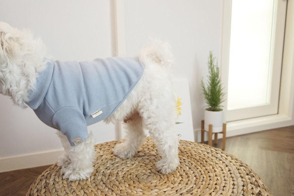 옷 쇼핑몰 강아지옷 쇼핑몰예쁜 21