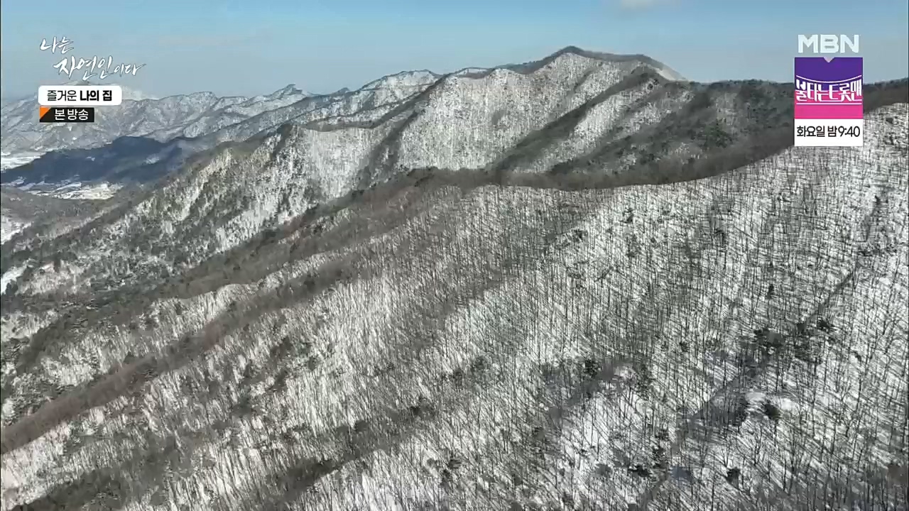 나는 자연인이다.E535.230105p.H264-F1RST.mp4_20230106_203950.013.jpg