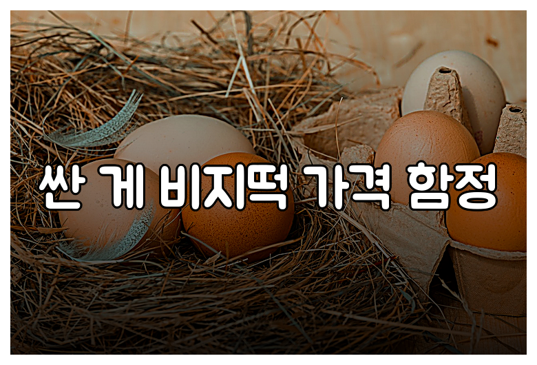 싼 게 비지떡 가격 함정