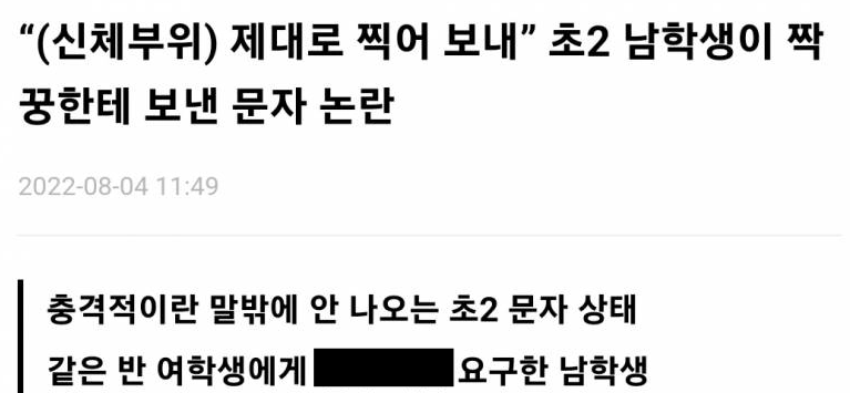 짝꿍 중요부위 찍어서 보내라 협박한 초2 남학생