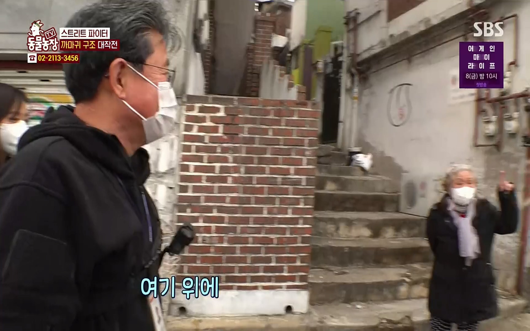 TV 동물농장.E1062.220327p.H264-F1RST.mp4_20220327_174443.437.jpg