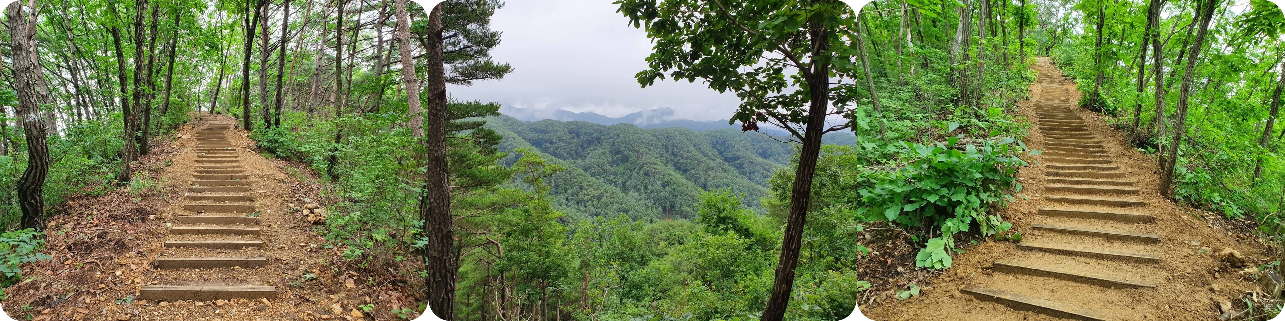 홍천남산 3변 숲길