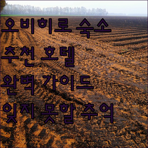 오비히로 호텔 추천 완벽 가이드.. 