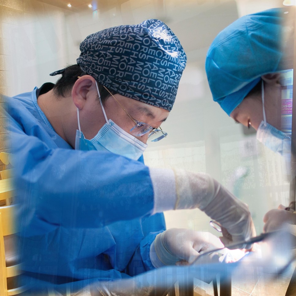 삼백초추출물관련 12