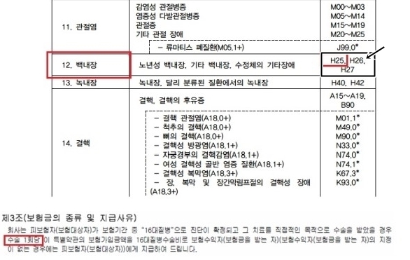 백내장보험금 질병수술비보험 최대로 받을 수 있는 플랜 후발성 포함