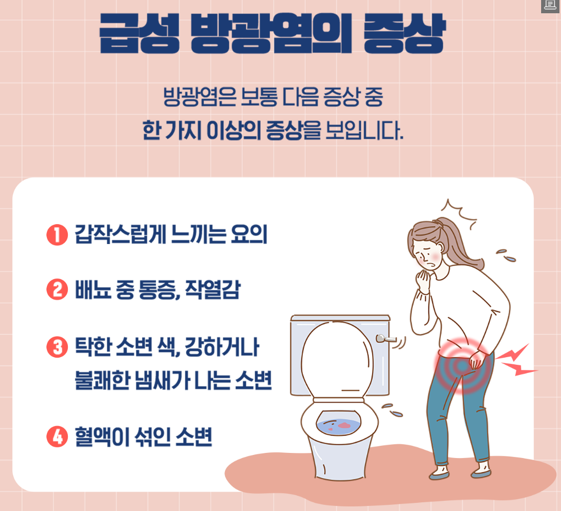방광암 초기증상부터 치료법&amp;#44; 수술비용&amp;#44; 재발&amp;#44; 생존율까지 총정리