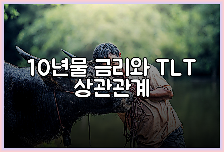 10년물 금리와 TLT 상관관계