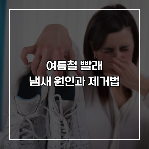 여름철 빨래 냄새 원인과 제거법