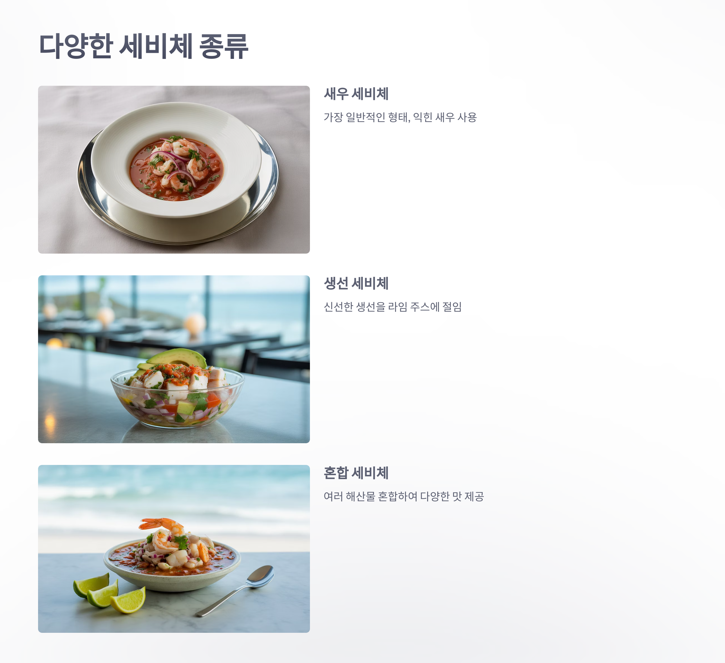 참조-에콰도르-세비체-4