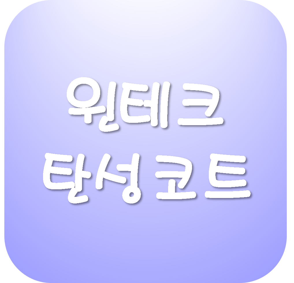  윈테크 탄성코트 시공 후기(내돈내산)