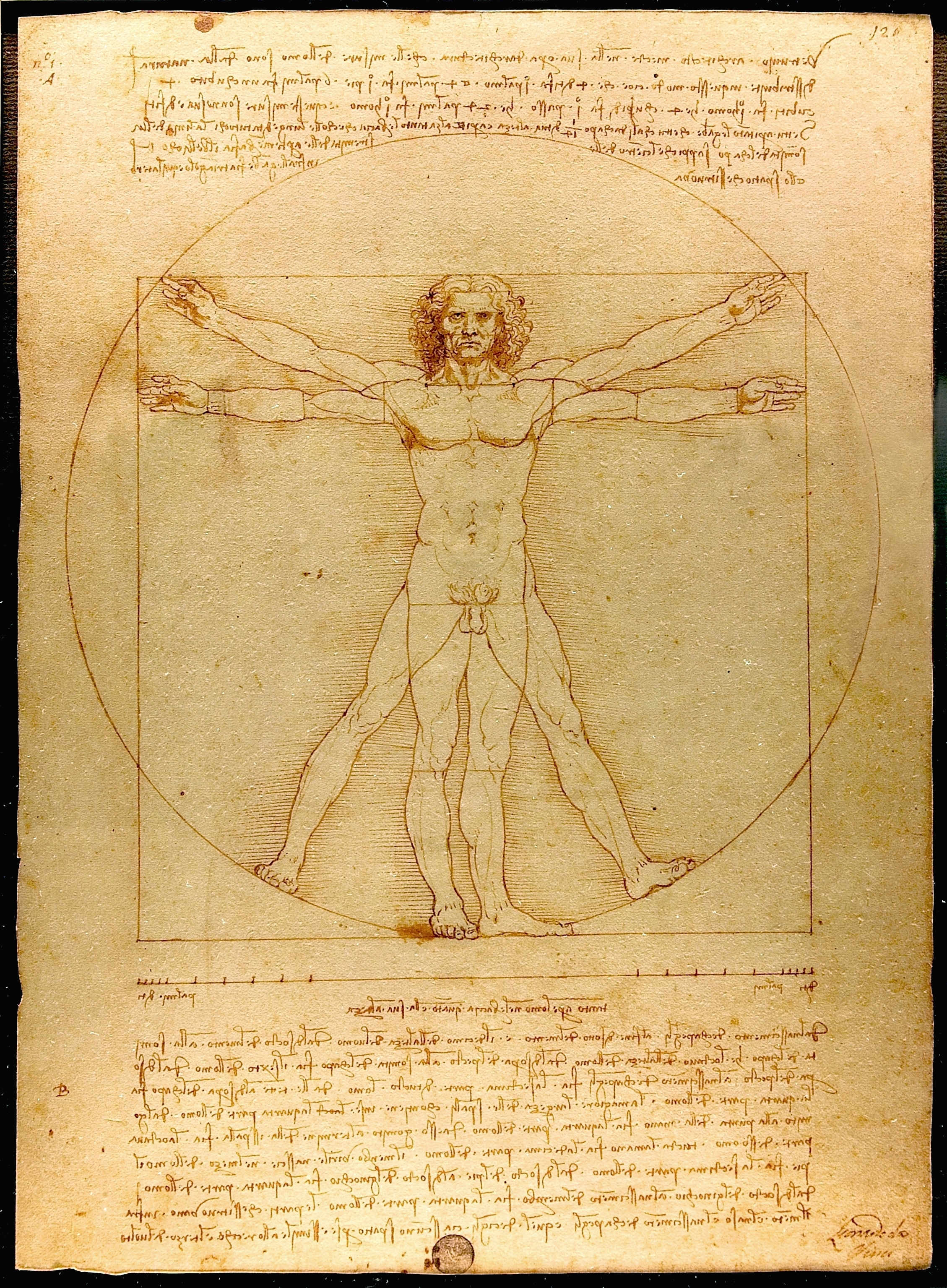 © 레오나르도 다 빈치의 <비트루비우스적 인간(Vitruvian Man)> 1492 Photo by Luc Viatour, Wikipedia