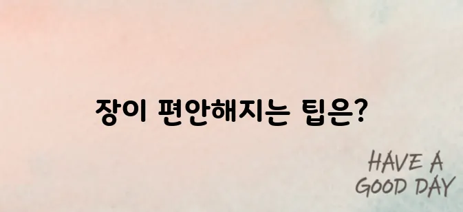 장이 편안해지는 영양제 추천 TOP5