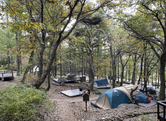 야영장-텐트-데크-숲