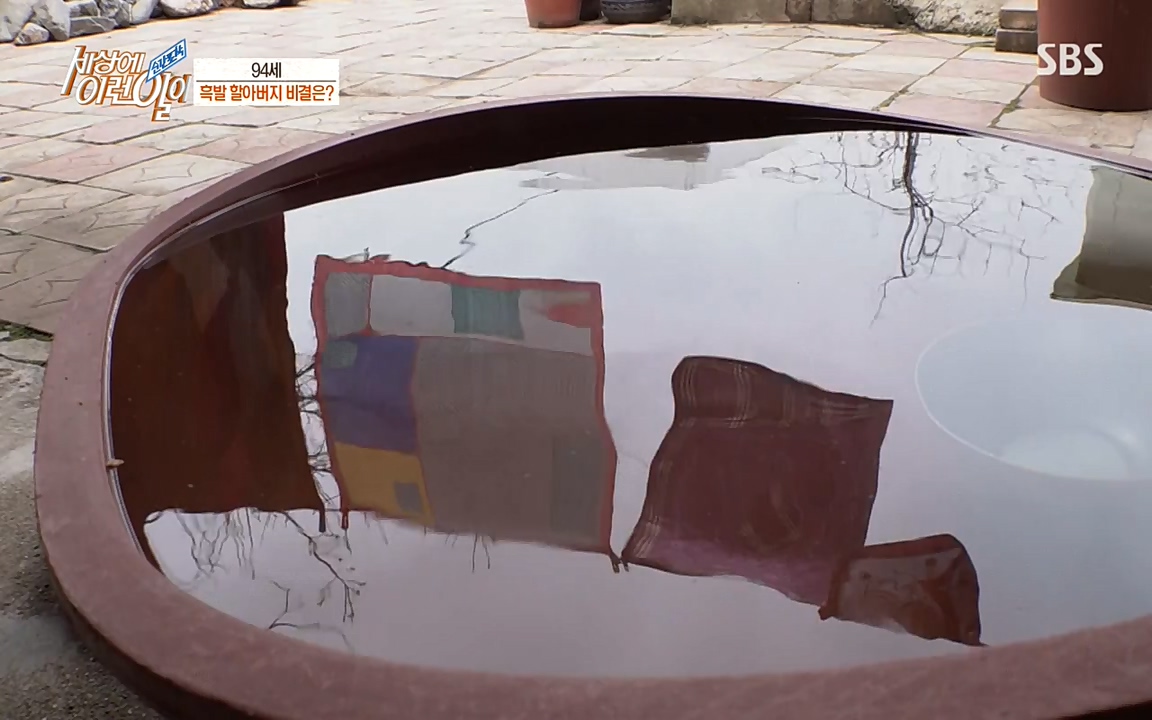 순간포착 세상에 이런일이.E1177.220427p-NEXT.mp4_20220427_183831.938.jpg