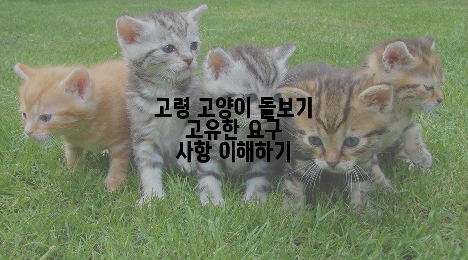 고령 고양이 돌보기 고유한 요구 사항 이해하기