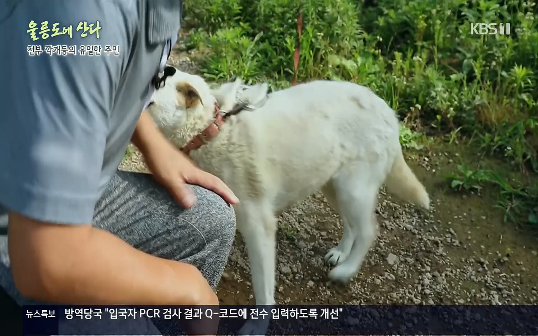 다큐울릉도에산다.E01.220909p.H264-F1RST.mp4_20220912_180547.544.jpg