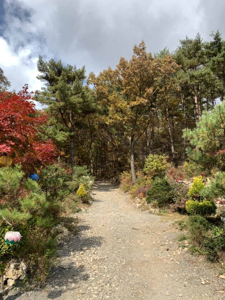 오서산 최단코스 [BAC 100대명산 / 보령 오서산 최단코스] 오서산자연휴양림 ~ 월정사 38
