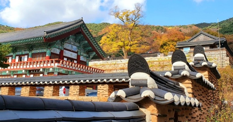 - 수덕사, 명상치유림길과 수암산의 가을 예산으로 볼거리, 단풍여행 42