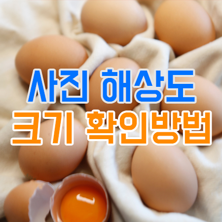  사진(이미지) 해상도 크키 확인하는 간단한 방법